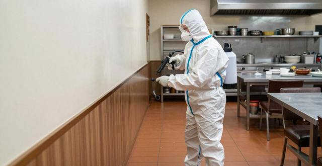 餐厅灭白蚁怎么彻底根除 餐饮场所专用安全处理方法