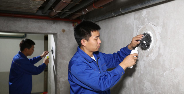 小区除四害怎么彻底消灭蟑螂老鼠 专业有效方法